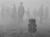 The Day May Break - signed and dedicated copy by Nick Brandt  + Harriet and People in Fog Limited Edition Print